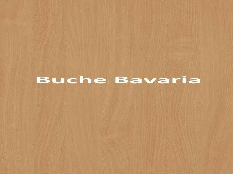 Buche Bavaria
